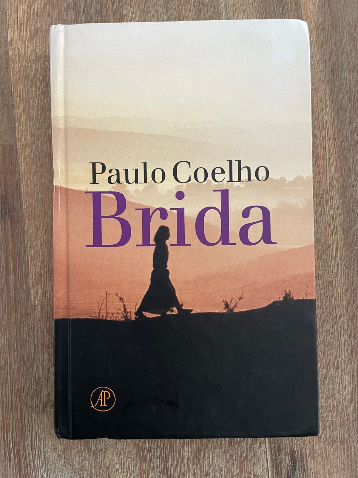 Brida - Paulo Coelho, Ophalen of Verzenden, Gelezen