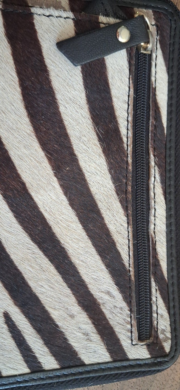 leuke zebra prind portomoné, Ophalen of Verzenden