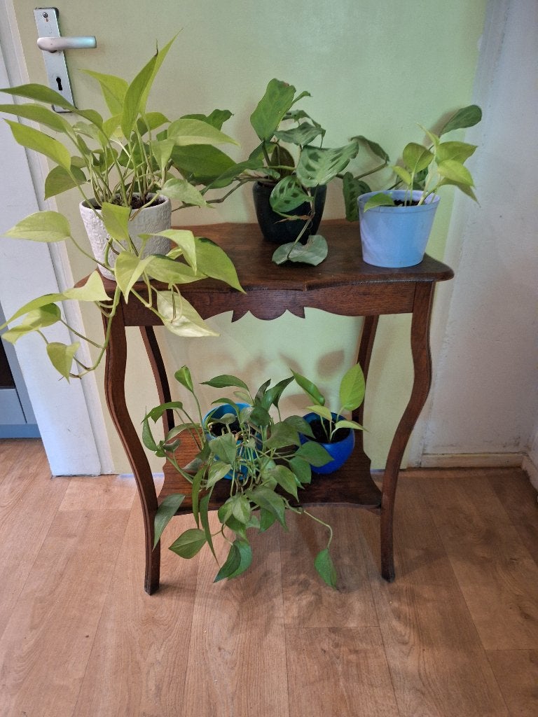 Antiek tafeltje, Ophalen