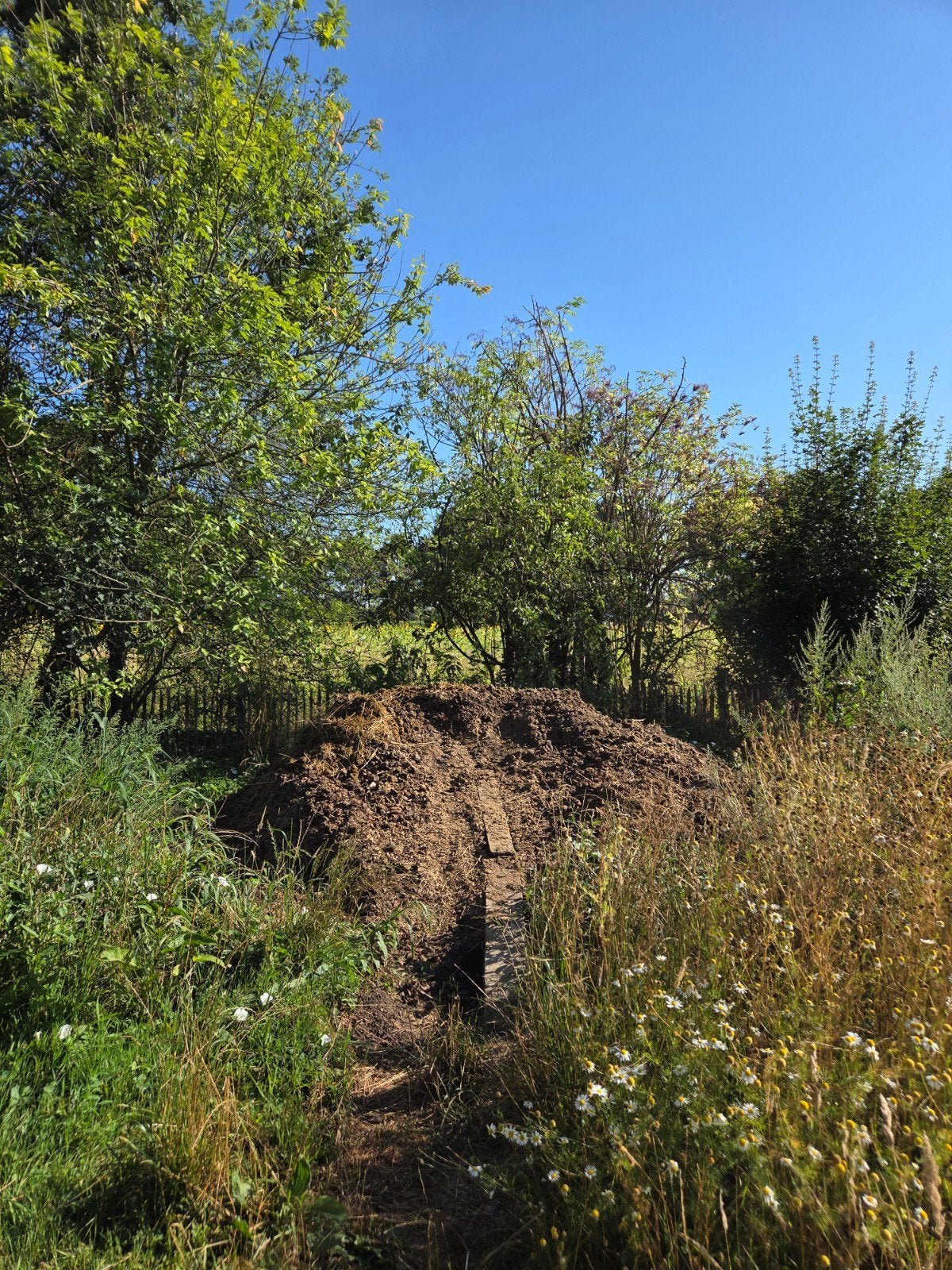 Verse paardenmest voor uw tuin / gratis!, Ophalen