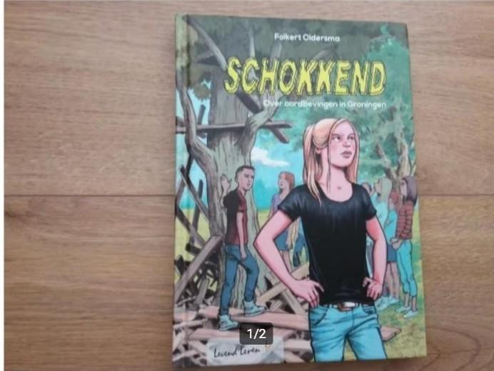 Folkert Oldersma, Schokkend, Ophalen of Verzenden, Zo goed als nieuw