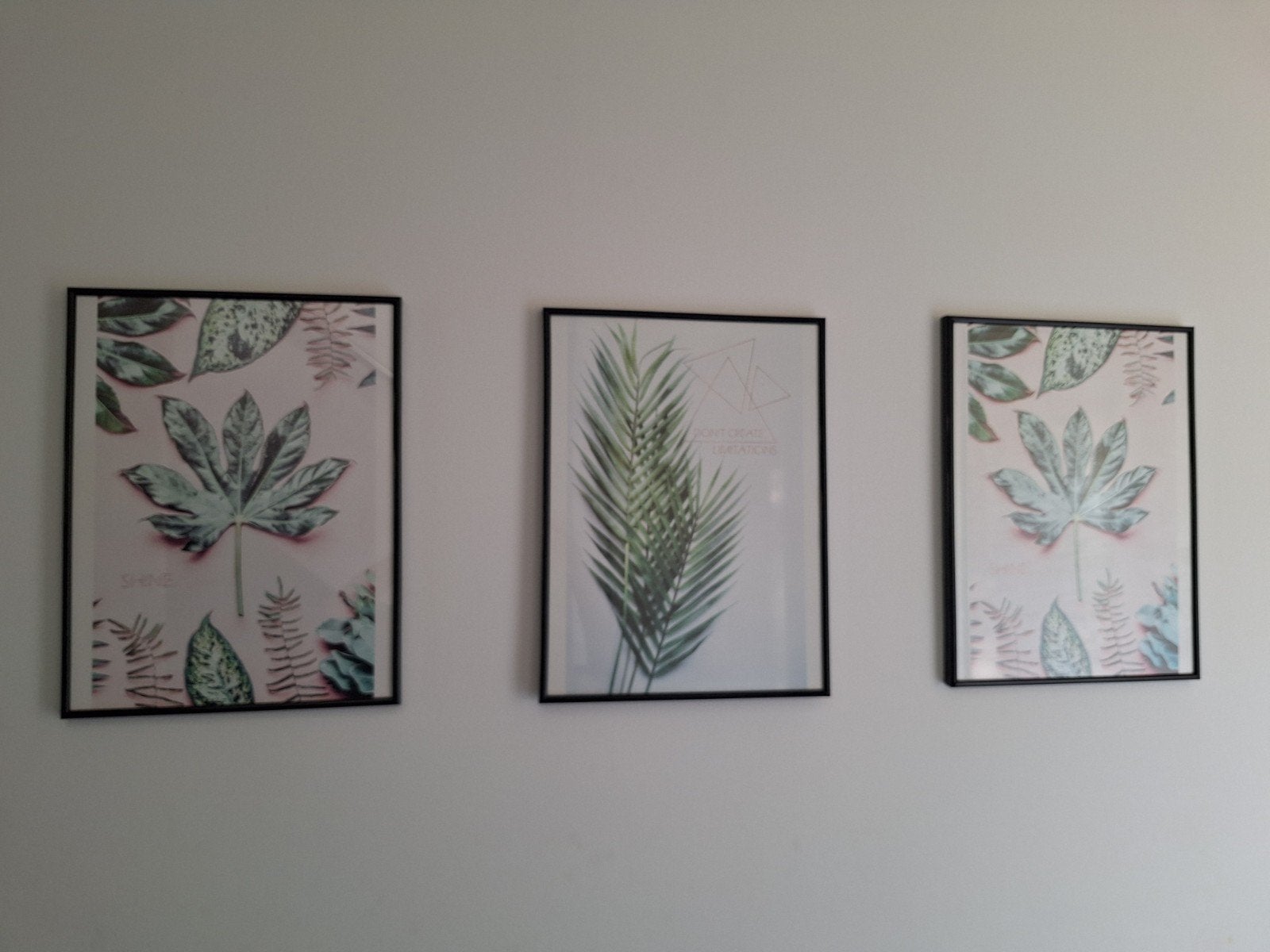 Set van 3 Botanische Prints in Zwarte Lijsten, 50 – 75, Minder dan 50 cm, Ophalen of Verzenden, Print