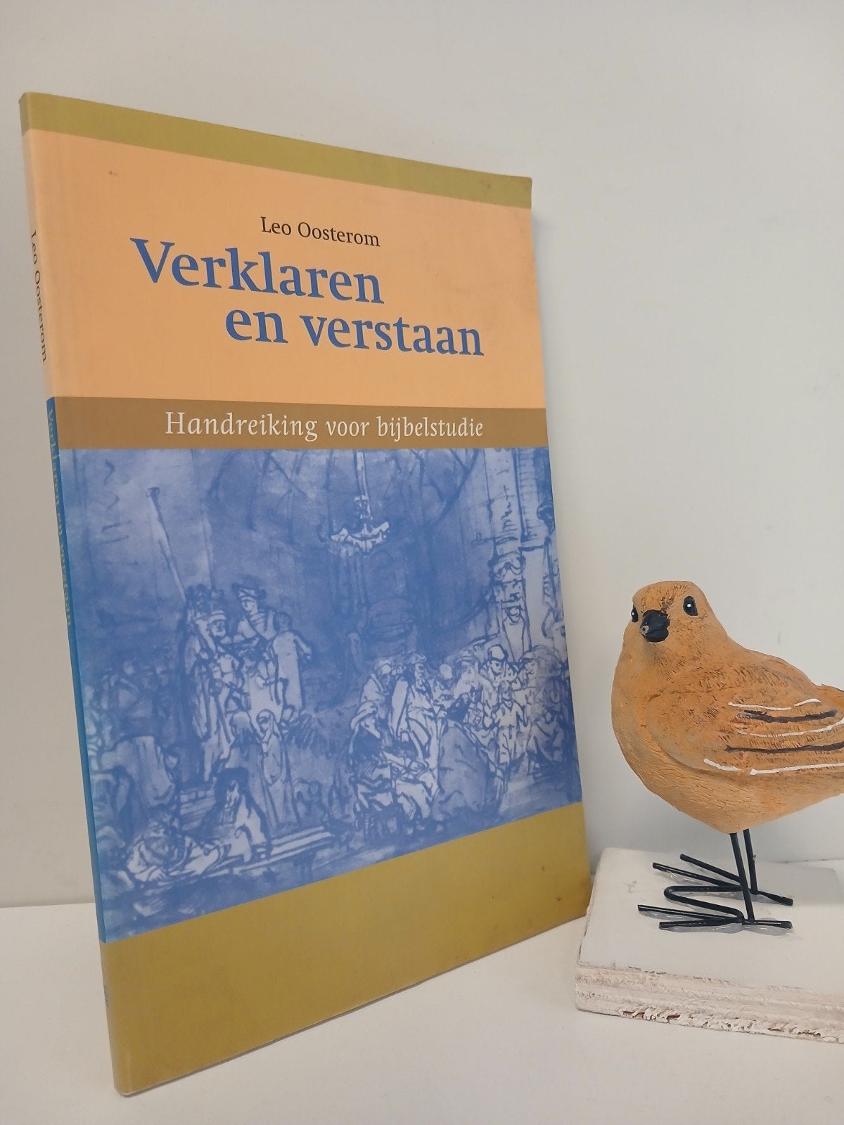 Oosterom, Leo; Verklaren en verstaan (Handreiking  bijbelst, Boeken, Ophalen of Verzenden, Gelezen, Christendom | Protestants