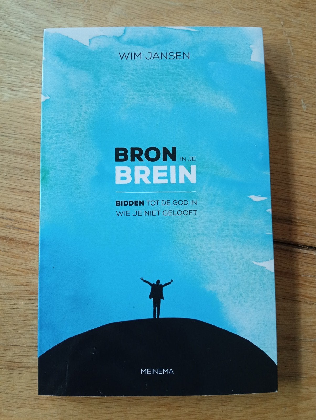 Bron in je Brein - Bidden tot de God in wie je niet gelooft, Achtergrond en Informatie, Wim Jansen, Spiritualiteit algemeen, Ophalen of Verzenden
