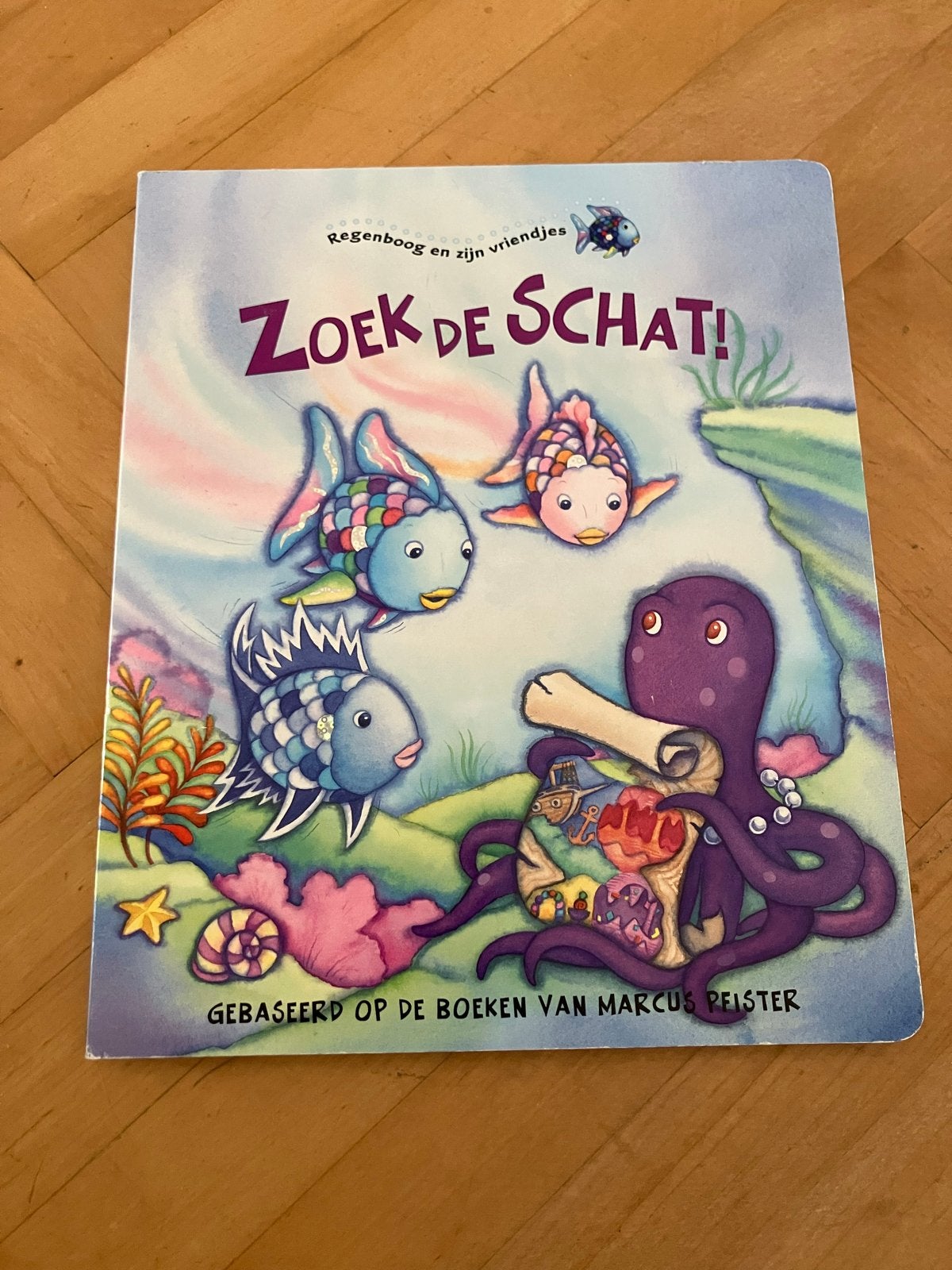 Regenboog en zijn vriendjes: Zoek de Schat!, Boeken, Uitklapboek, Jongen of Meisje, Ophalen of Verzenden, Zo goed als nieuw