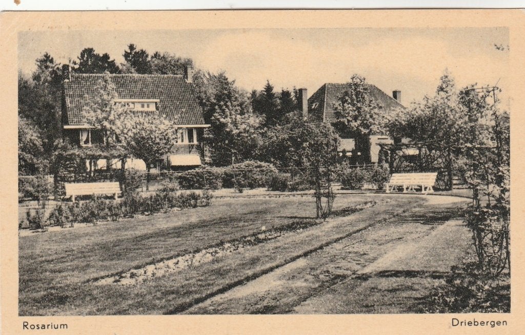 driebergen- rosarium, Ophalen of Verzenden, 1940 tot 1960, Utrecht
