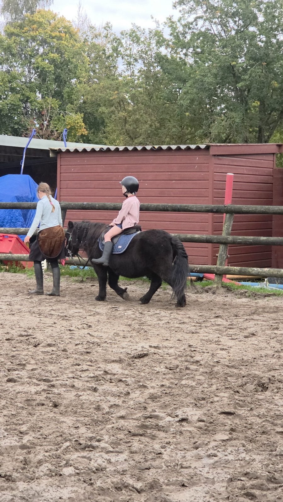 3 leuke grote shets, Merrie, A pony (tot 1.17m)