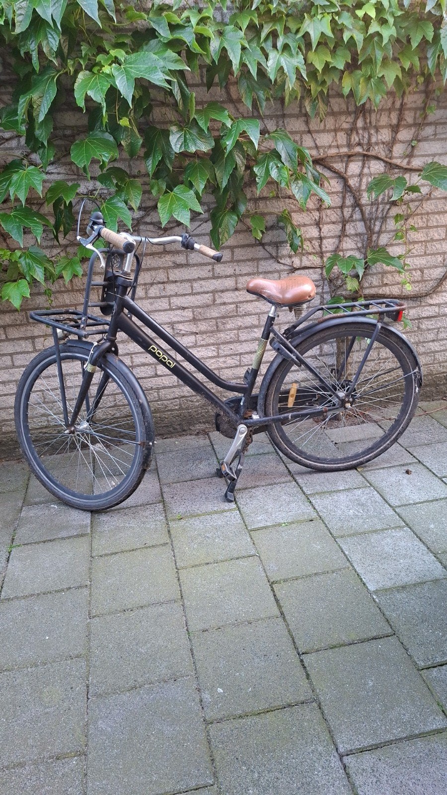 Popal Daily Dutch Basic Damesfiets - Zwart, Overige merken, Terugtraprem, Ophalen of Verzenden, 53 tot 56 cm