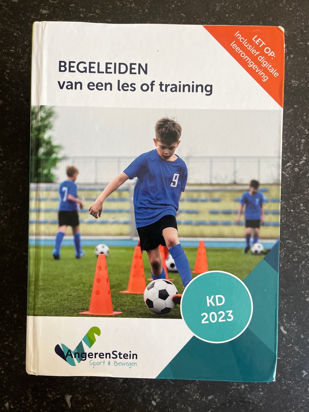 Begeleiden van een les of training (AngerenStein), Boeken, Ophalen, Zo goed als nieuw, Overige niveaus