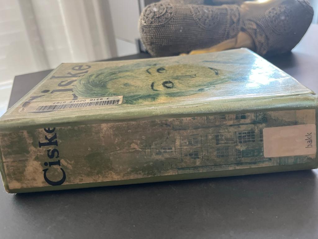 Ciske de Rat - Klassiek jeugdboek, Ophalen of Verzenden, Gelezen, Fictie algemeen