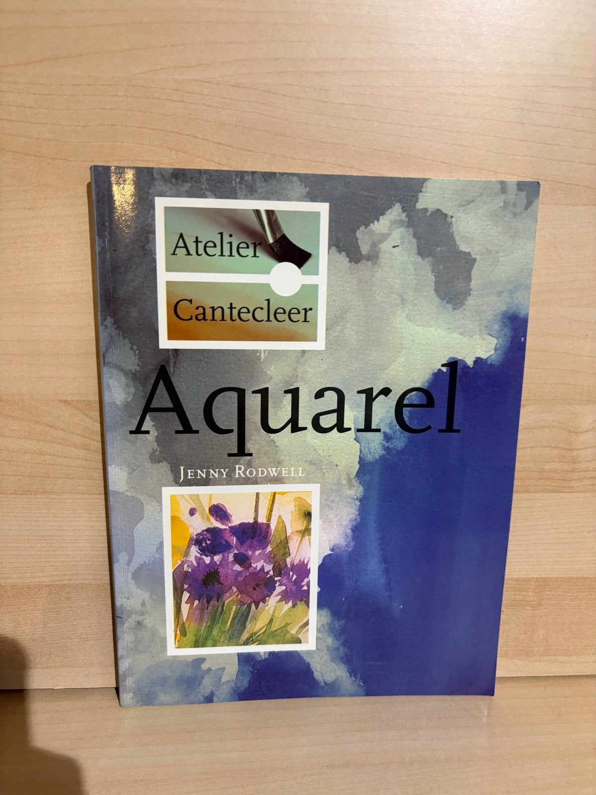 Atelier Cantecleer - Aquarel (Jenny Rodwell), Ophalen of Verzenden, Zo goed als nieuw, Schilder- en Tekenkunst