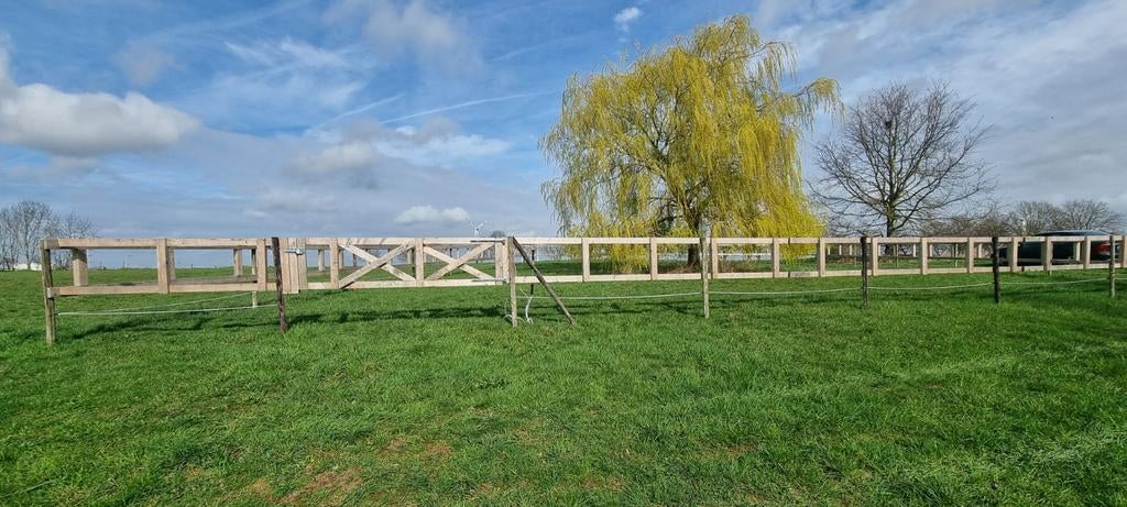 Onbehandeld hout voor afrastering (ca. 250-260 meter), Ophalen of Verzenden, Overige houtsoorten, 50 mm of meer, Balk