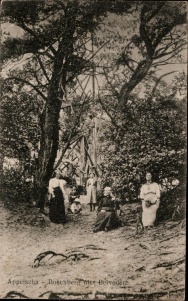 Appelscha KVR07 2272 Boschberg met Belvedere, Verzenden, 1940 tot 1960, Gelopen, Friesland