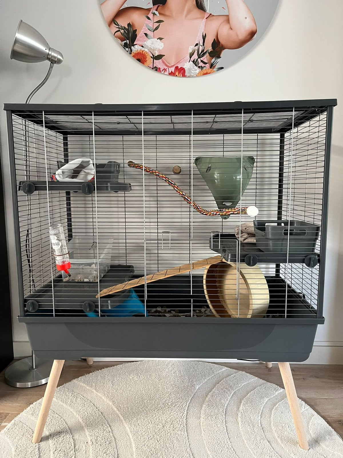 Knaagdieren kooi Zolux neolife 100, Dieren en Toebehoren, Kooi, Zo goed als nieuw, 75 tot 110 cm, Ophalen