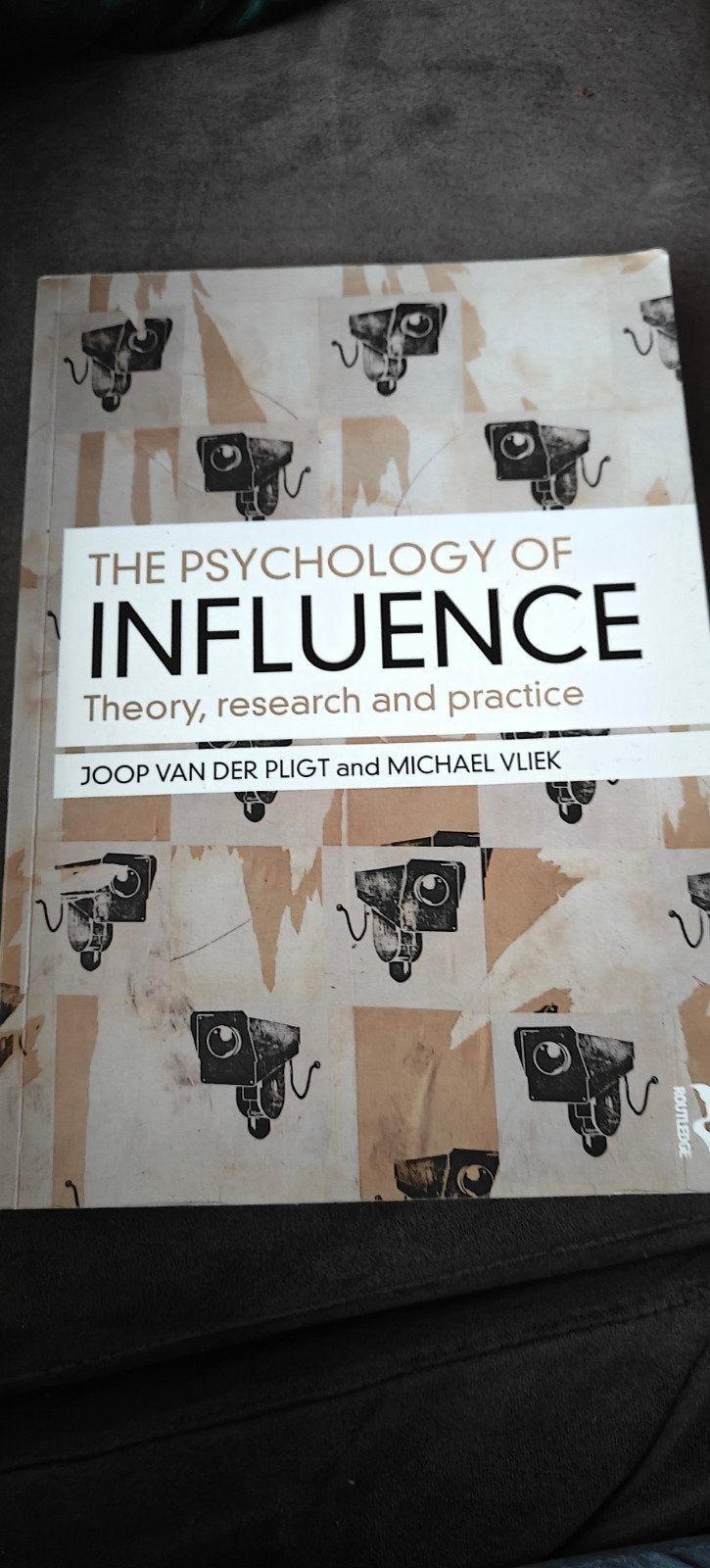 The Psychology of Influence - Joop van der Pligt, Ophalen of Verzenden, Zo goed als nieuw, Joop van der Pligt en Michael Vliek