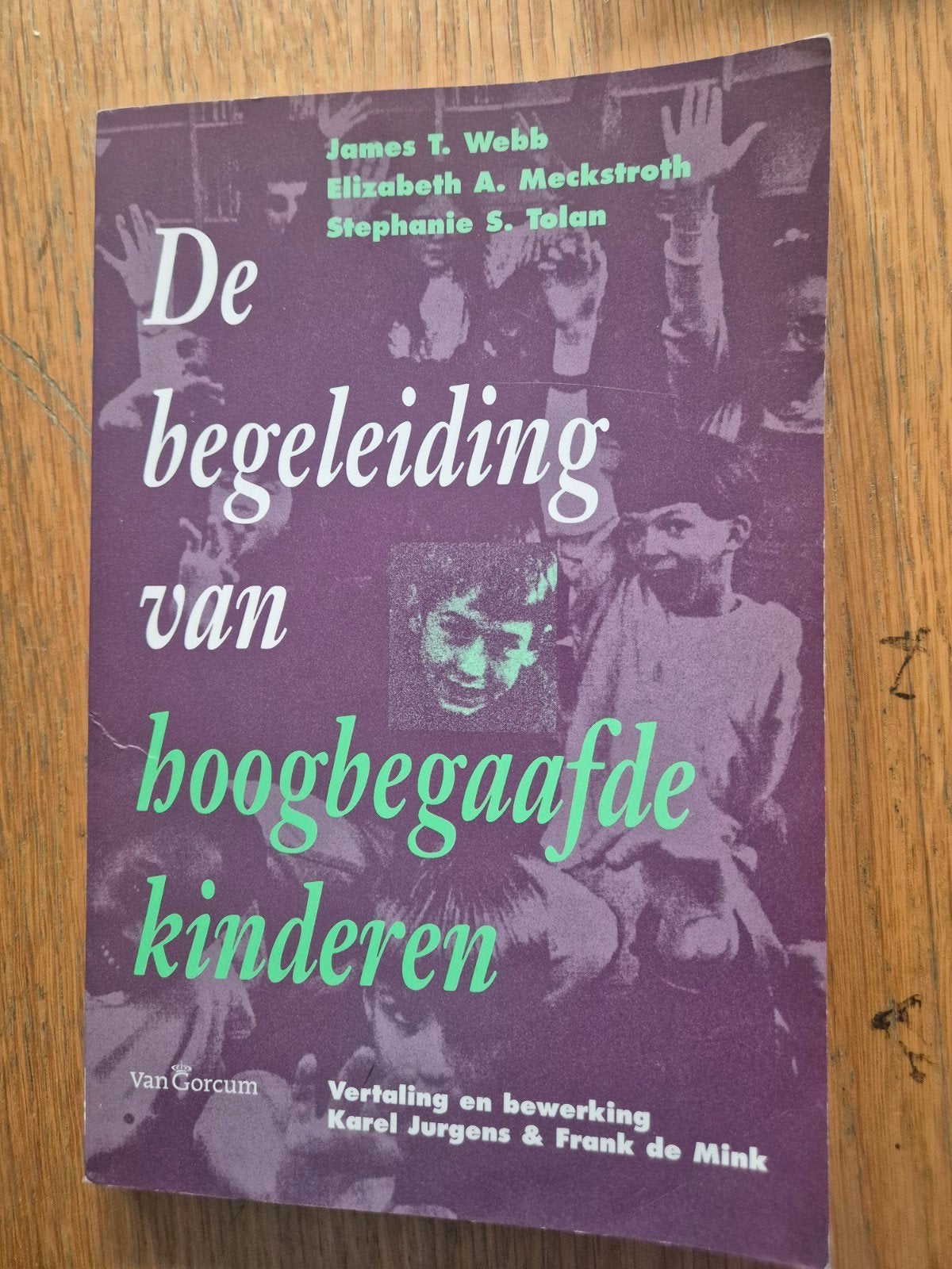 De begeleiding van hoogbegaafde kinderen, Boeken, Gelezen, Ophalen of Verzenden, James T. Webb, Elizabeth A. Meckstroth, Stephanie S. Tolan