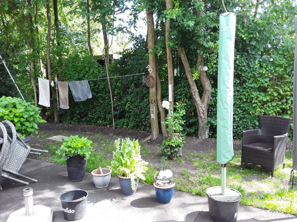 Droogmolen, Tuin en Terras, Droogmolens en Wasrekken, Ophalen, Zo goed als nieuw, Droogmolen