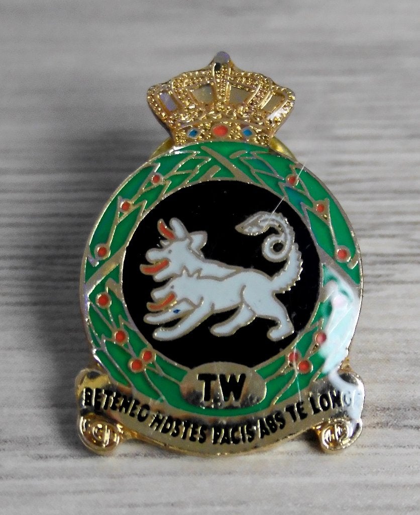 Pin Koninklijke Luchtmacht Vliegbasis Twenthe, Verzenden, Luchtmacht, Nederland, Embleem of Badge
