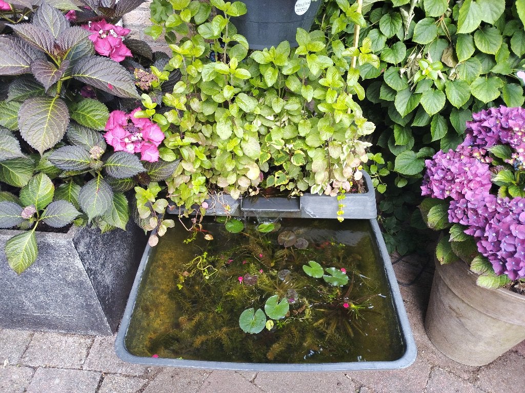 Complete vijver inclusief vissen pomp en verlichting, Tuin en Terras, Vijvers, Ophalen, Gebruikt