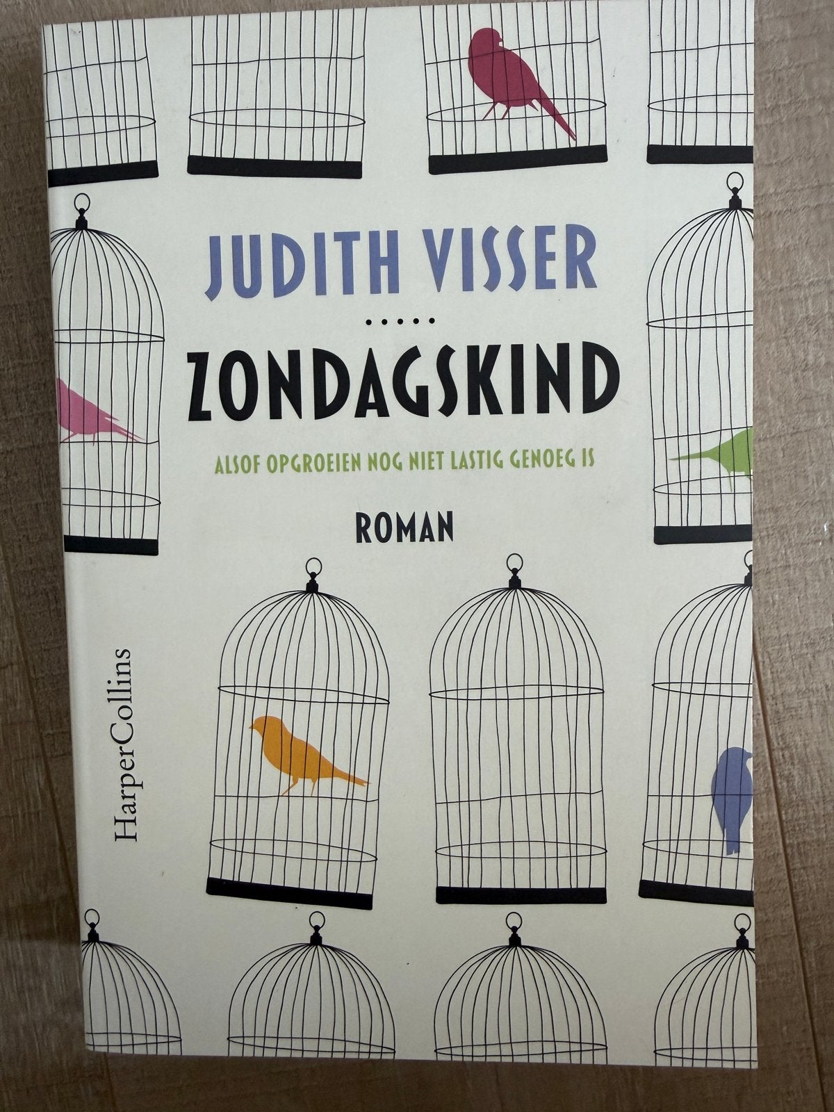 Zondagskind - Judith Visser (Roman) als nieuw, Ophalen, Zo goed als nieuw, Nederland