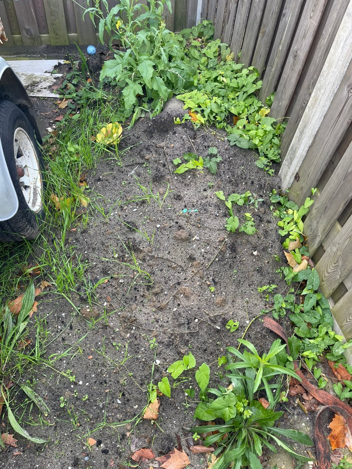 Grond, Ophalen, Tuinaarde