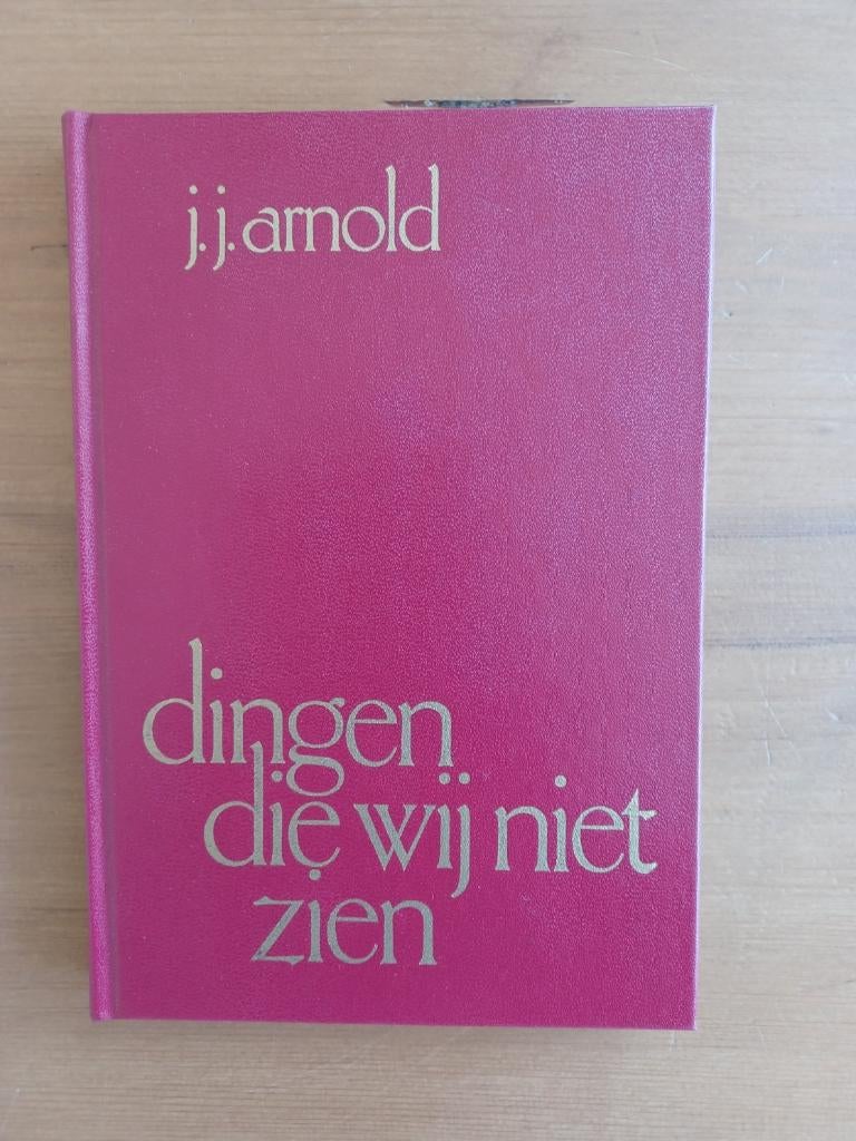 Dingen die wij niet zien - prekenbundel met 12 preken, Gelezen, J.J. Arnold, Christendom | Protestants, Ophalen of Verzenden
