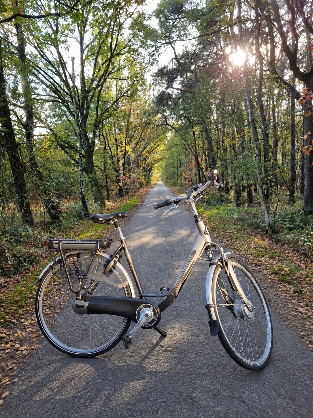 Gazelle E-Bike, Fietsen en Brommers, Ophalen of Verzenden, Zo goed als nieuw, Gazelle