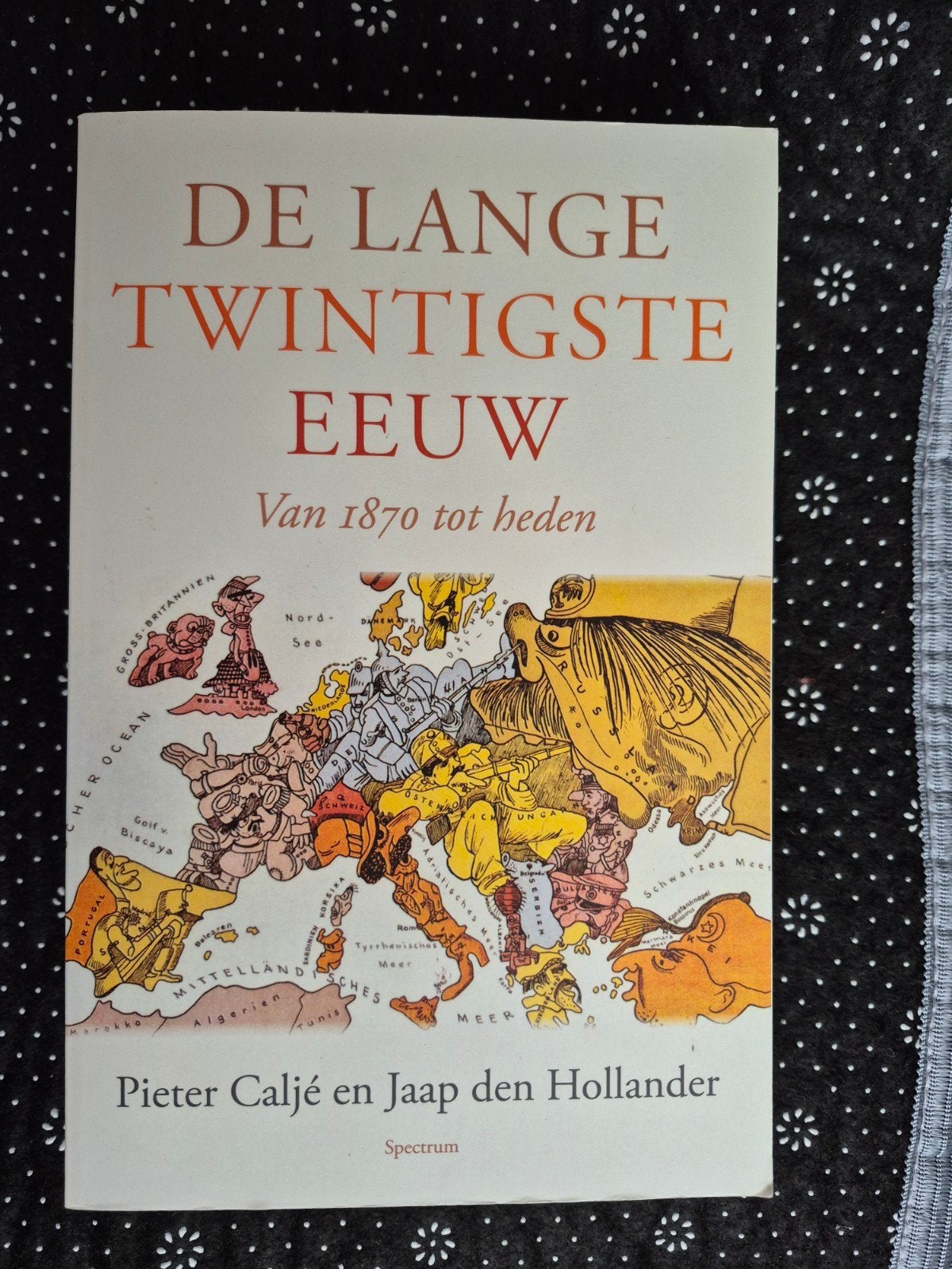 De Lange Twintigste Eeuw - Jaap den Hollander & Pieter Calje, Boeken, Ophalen of Verzenden, 20e eeuw of later, Zo goed als nieuw