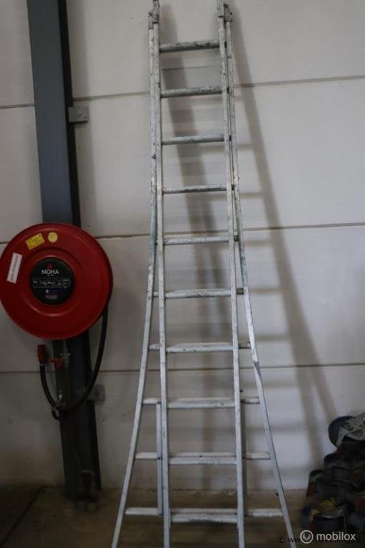 Online Veiling: Skyworks Reform Opsteekladder 2x10 sporten, Gebruikt
