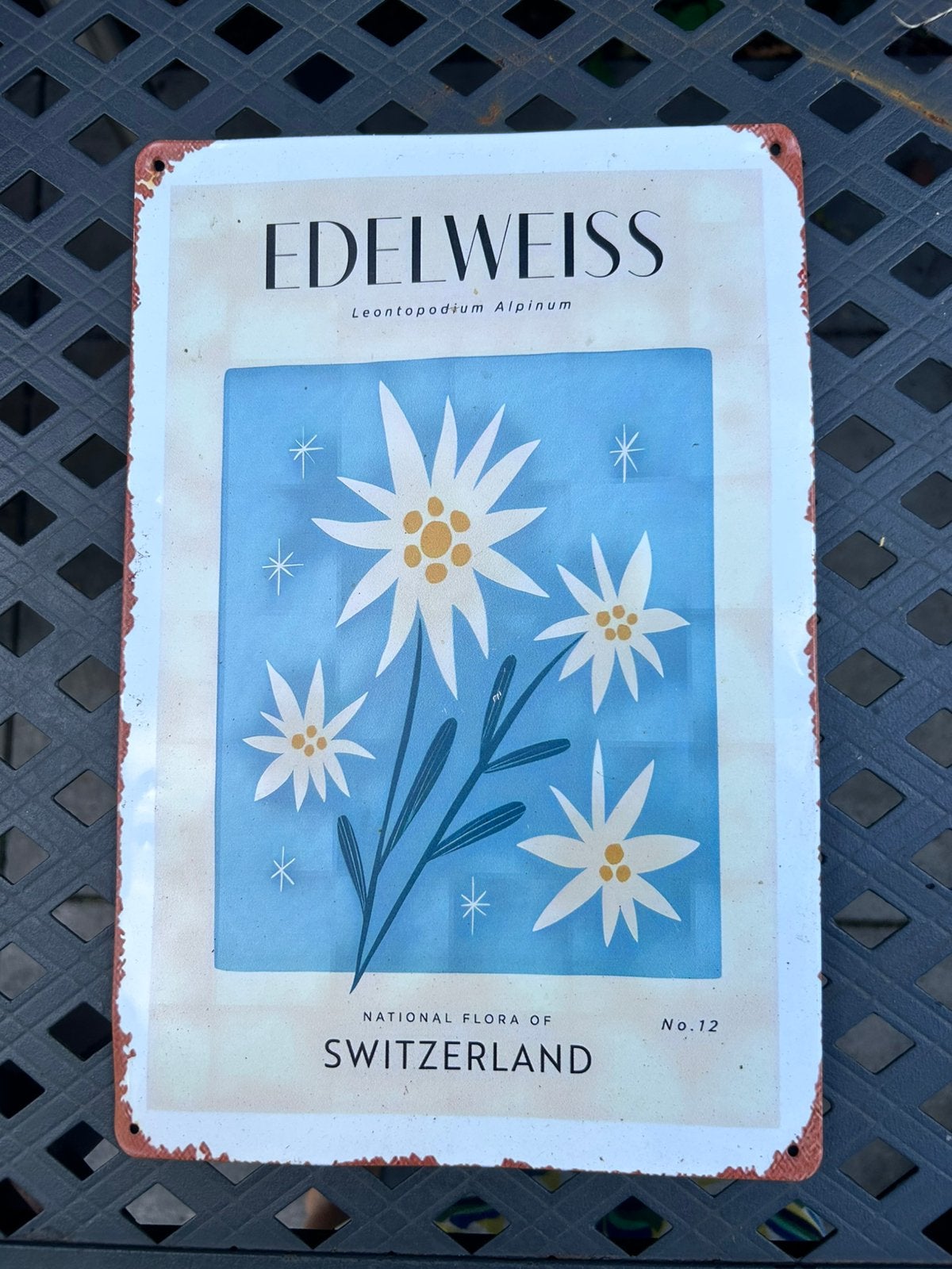 Edelweiss Zwitserland wandpaat voor aan de schutting, Tuin en Terras, Ophalen of Verzenden, Zo goed als nieuw