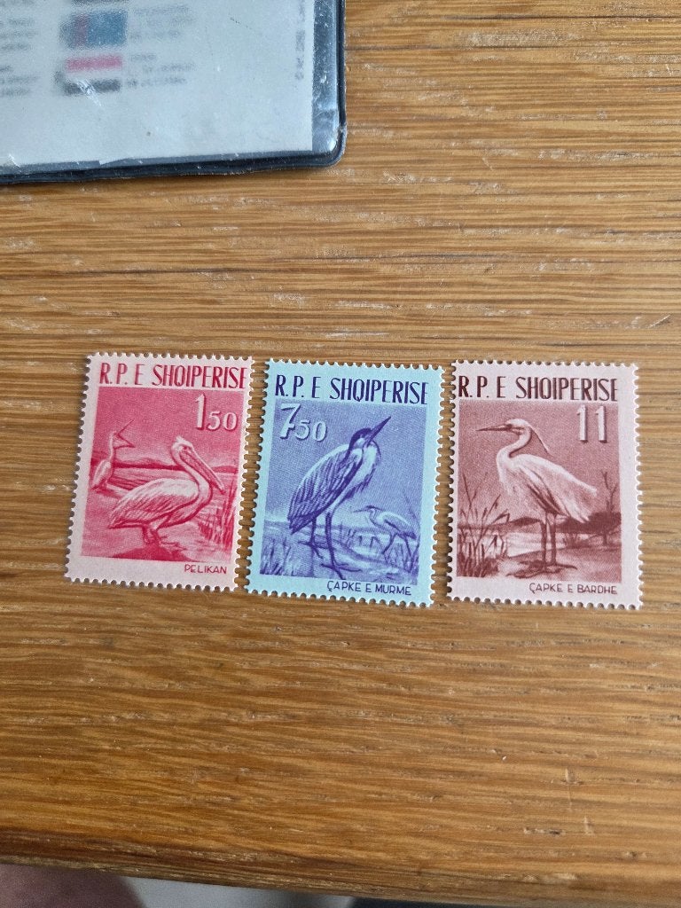Albanië vogels, Verzenden, Buitenland