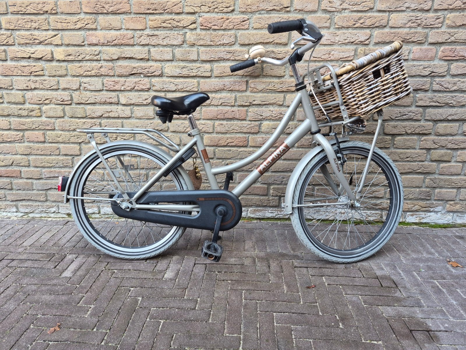 Alpina meisjesfiets 20 inch, Ophalen, Gebruikt, 20 inch