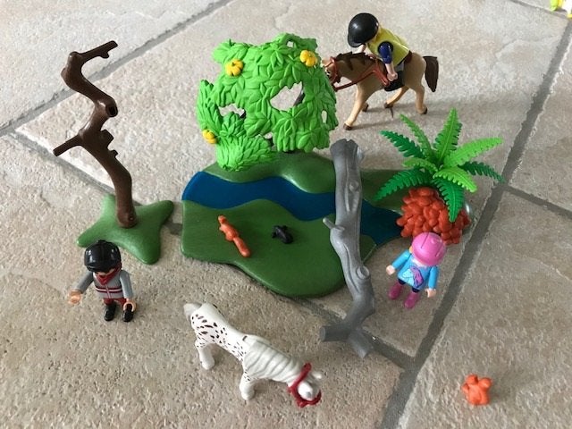 Playmobil 6947 ponyrijles, bijna compleet, Ophalen of Verzenden, Gebruikt