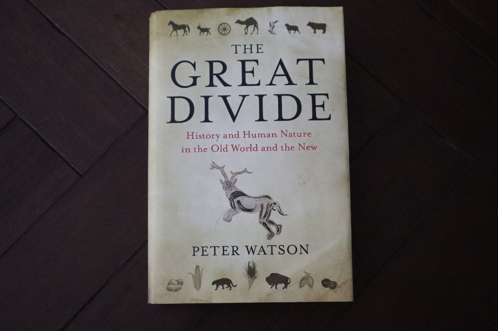 The Great Divide (Peter Watson - hardcover), Ophalen of Verzenden, Gelezen, Peter Watson, Overige gebieden