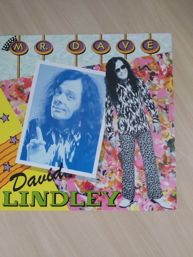 David Lindley Mr Dave LP (guitarist van Jackson Browne), LP, Ophalen of Verzenden, Zo goed als nieuw, 12 inch