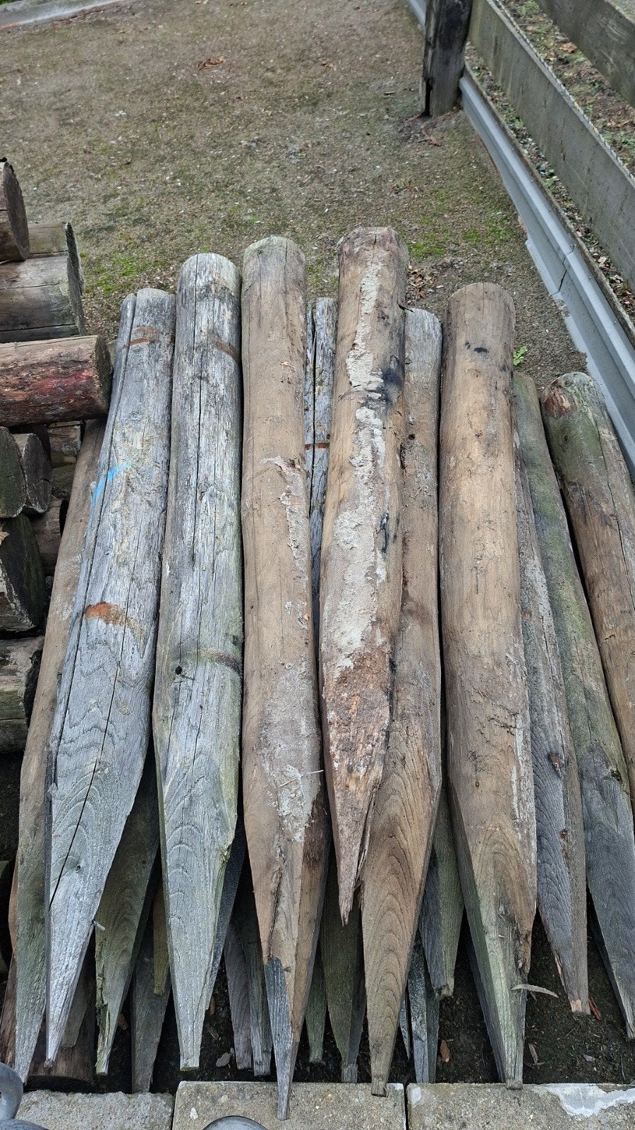 Kastanje palen 150 cm – 15 cm dik – ca. 20 stuks, Tuin en Terras, Ophalen, Palen, Zo goed als nieuw, Hardhout