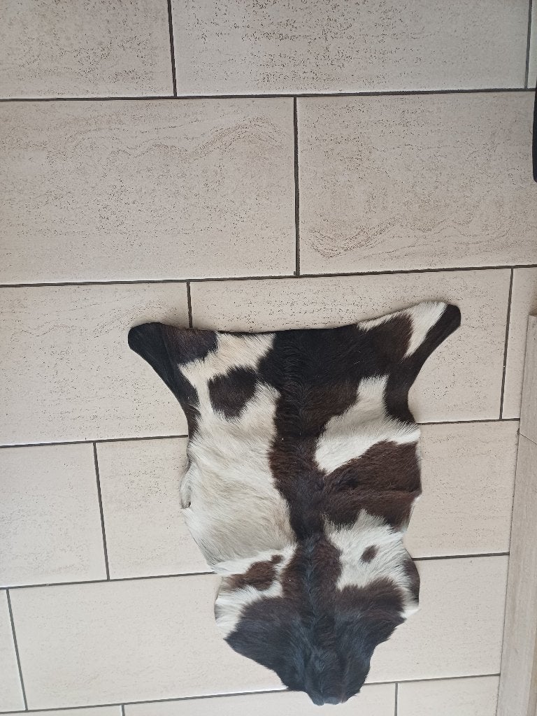 dierenhuid vloerkleed, 50 tot 100 cm, Zo goed als nieuw, Bruin, Rechthoekig