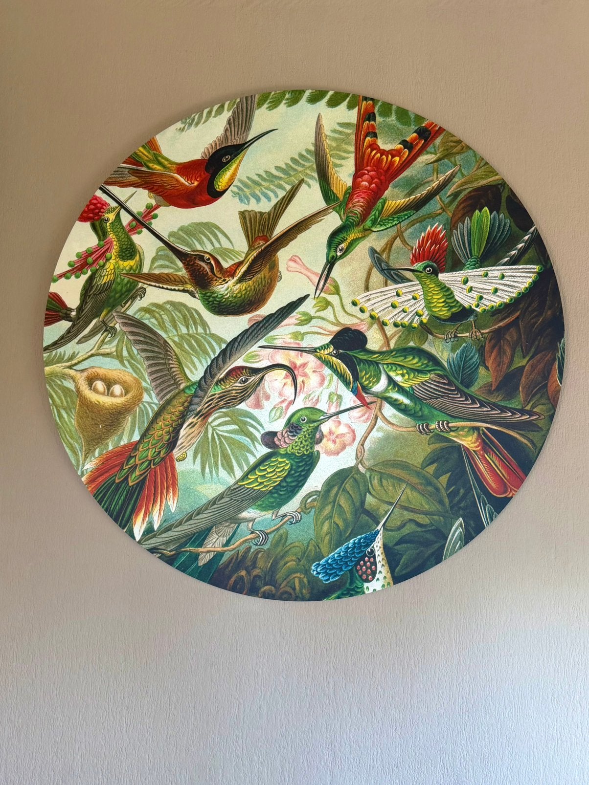 Wandcirkel forex 90cm hummingbird, Ophalen