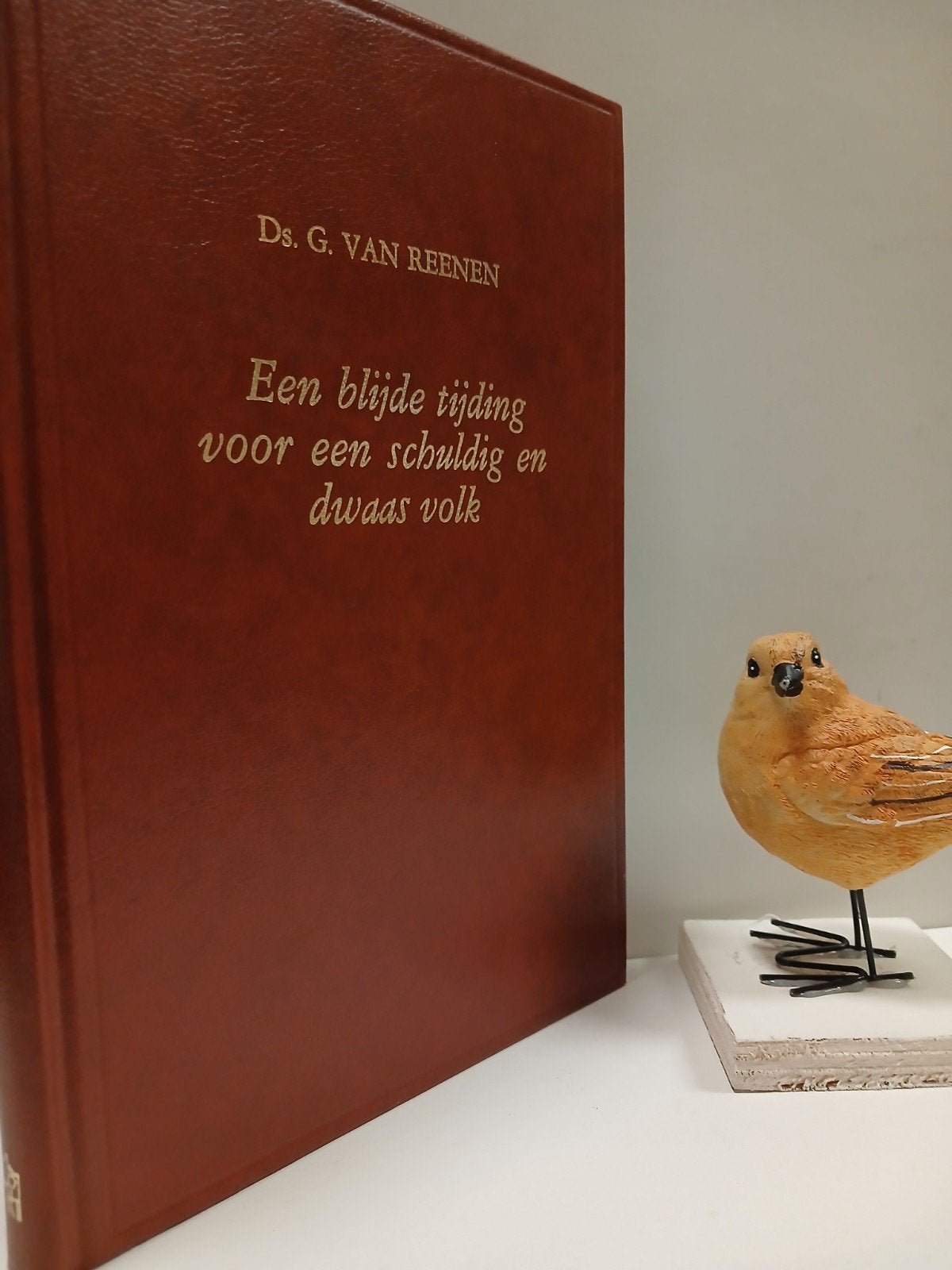 Reenen, Ds. G. van; Een blijde tijding voor een schuldig en, Ophalen of Verzenden, Gelezen, Christendom | Protestants