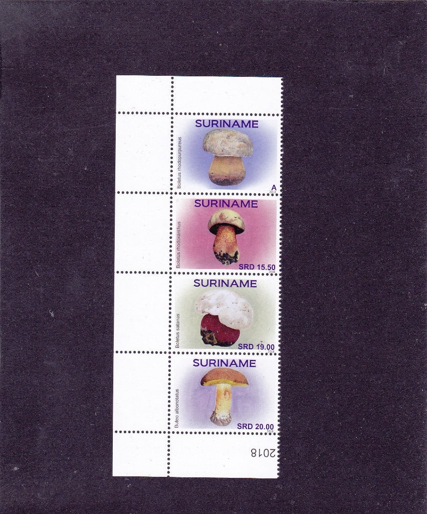 Suriname 2344/47 Paddestoelen 2018 (203), Verzenden, Postfris