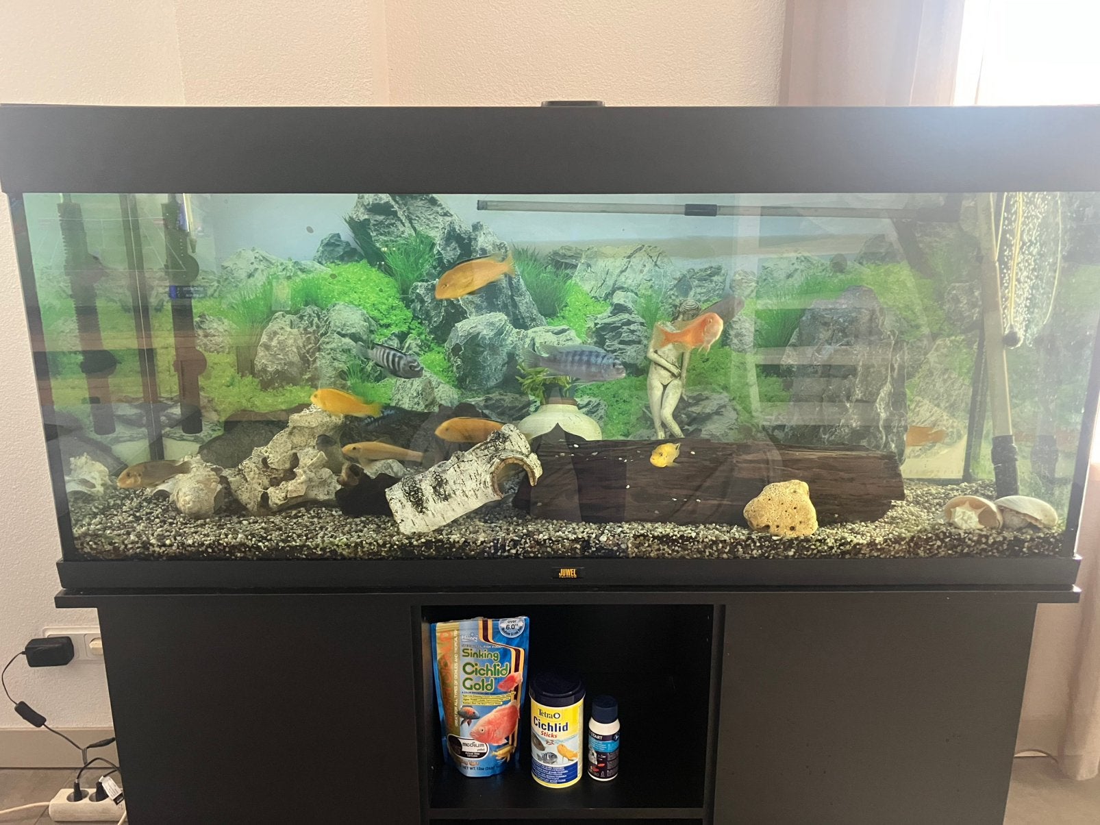 Compleet aquarium met kast, vissen en toebehoren, Ophalen of Verzenden, Zo goed als nieuw, Gevuld zoetwateraquarium