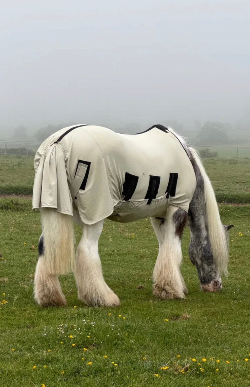 Snuggy Hoods deken 175cm met hals, Gebruikt, Overige merken, Cob (M), Afneembare hals