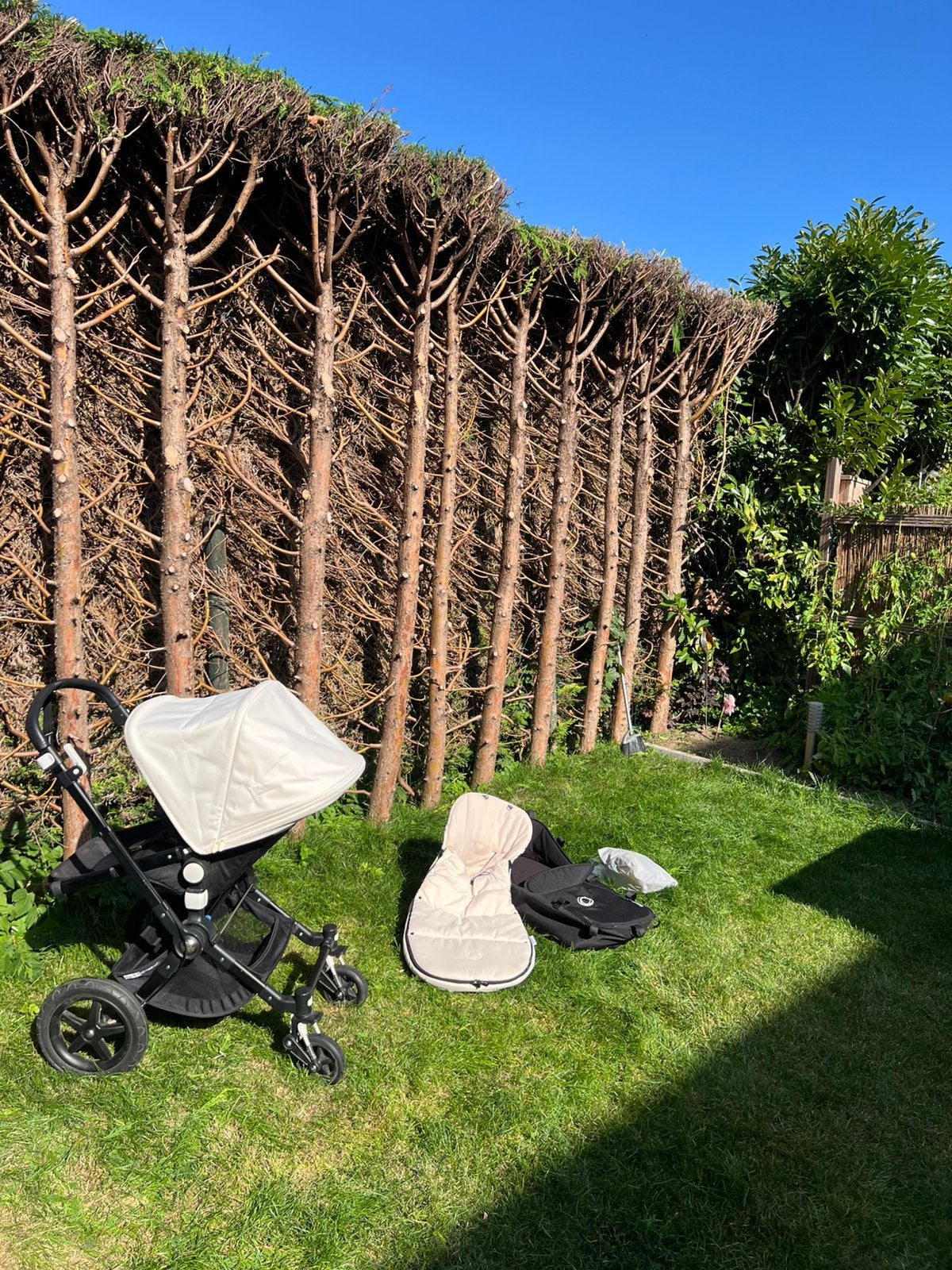 Buggy and acessories, Ophalen, Zo goed als nieuw
