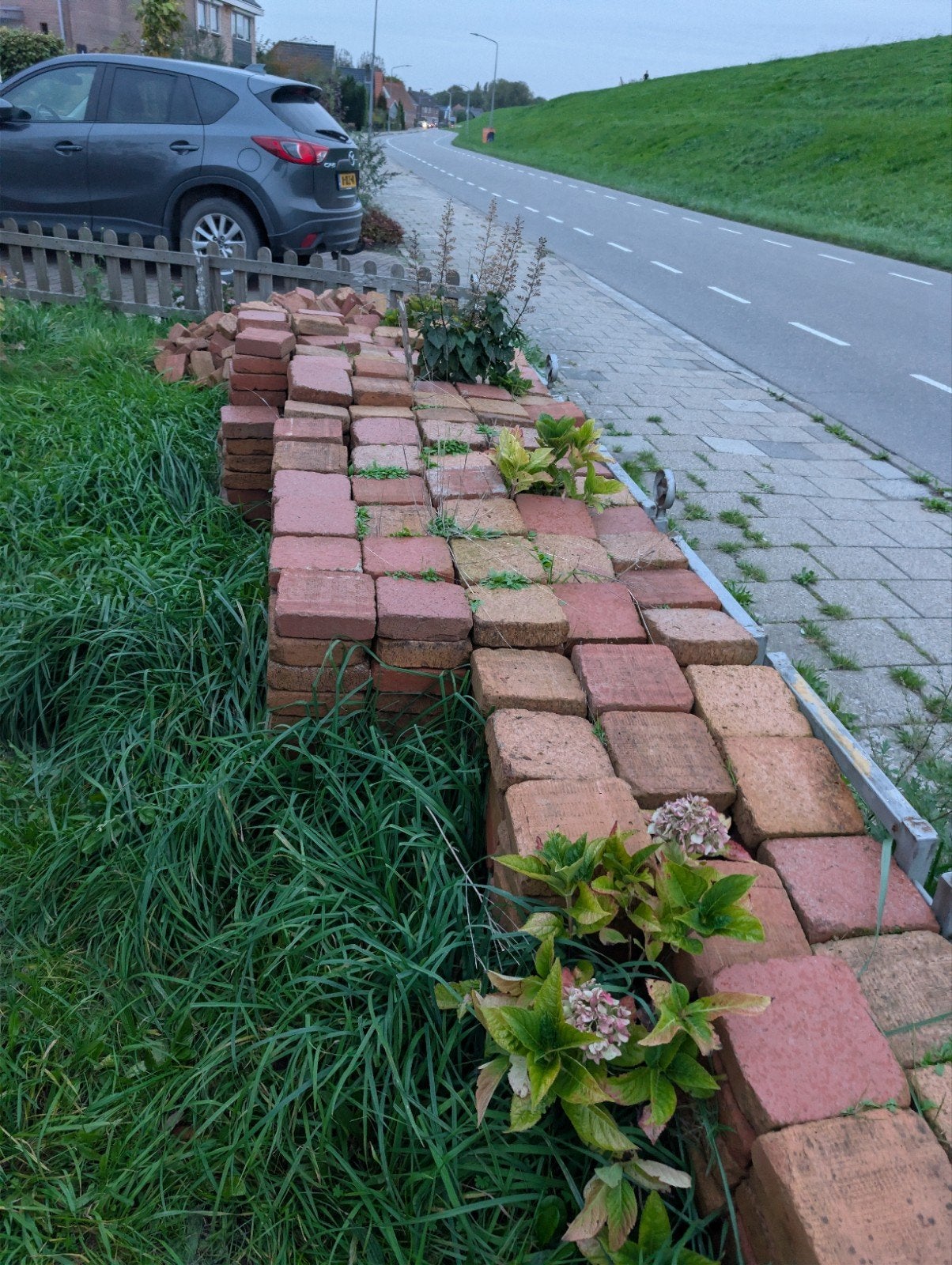 Gebruikte bakstenen voor tuin of bestrating, Tuin en Terras, Ophalen, Overige materialen, Gebruikt, 10 m² of meer