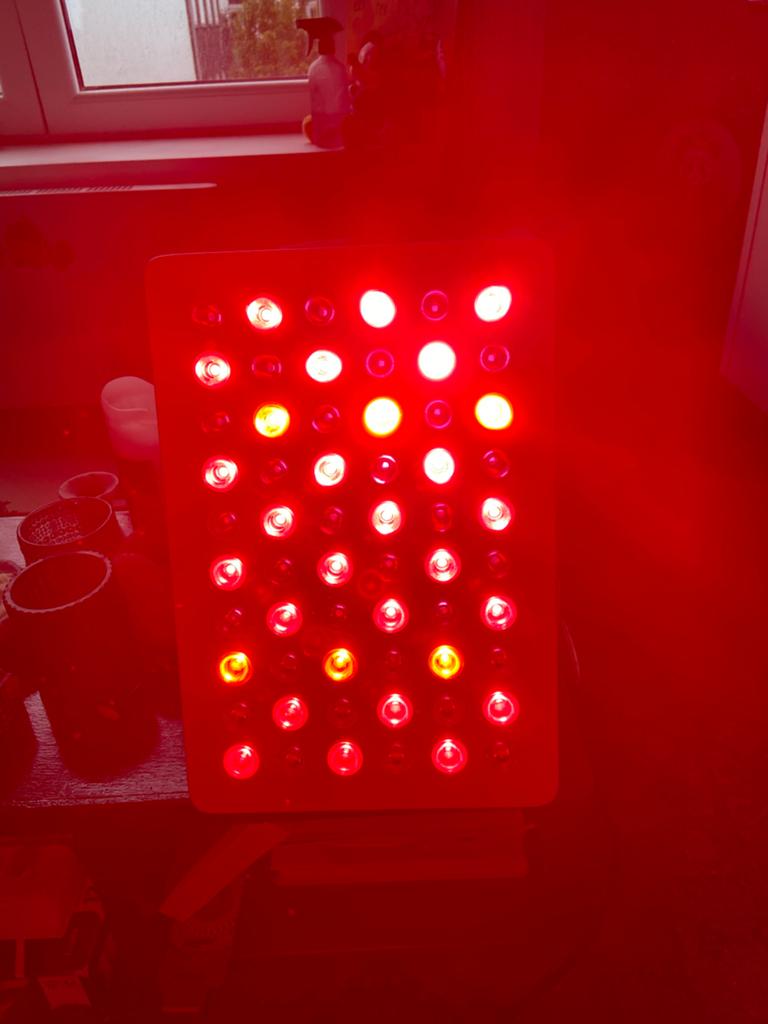 Rood Licht Paneel - 630, 660, 810, 830, 850nm - 60 LEDs, Ophalen of Verzenden, Nieuw