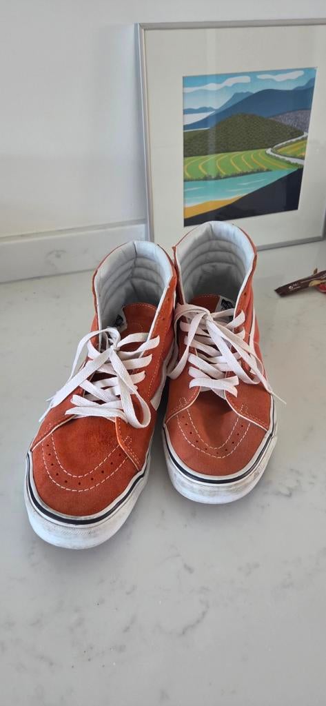 Vans Skate schoenen, Ophalen of Verzenden, Zo goed als nieuw, Zwart