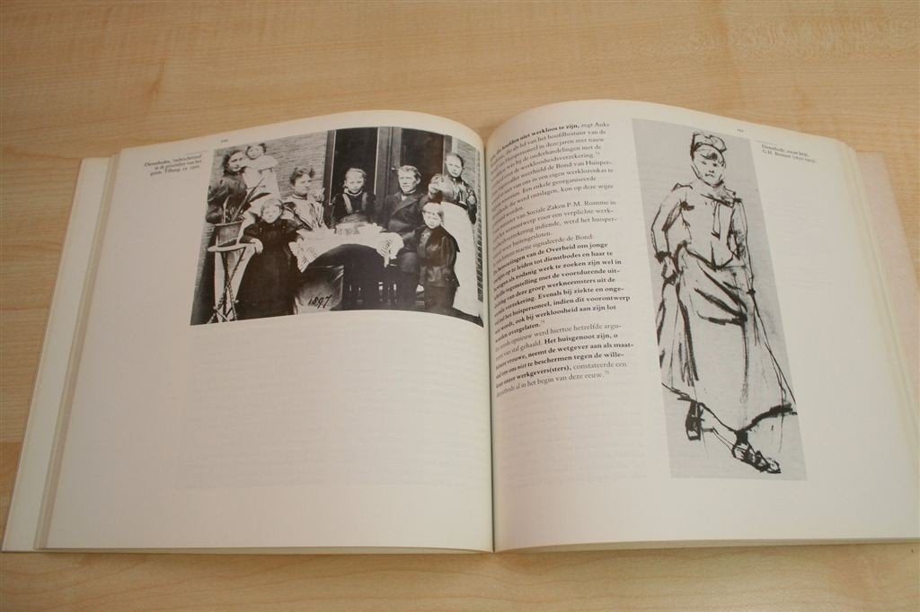 De Nederlandse Dienstbode — Een Sociale Geschiedenis, Ophalen of Verzenden, Gelezen