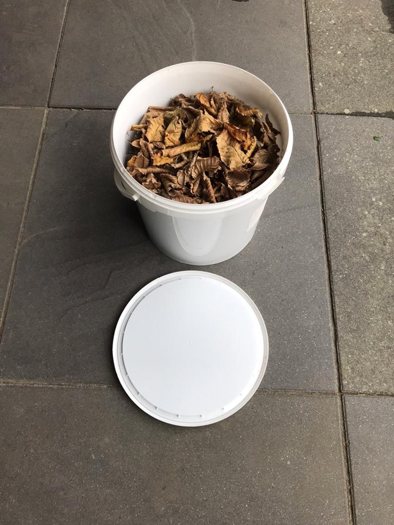 Beukenbladeren, voer voor garnalen, Kreeft, Krab of Garnaal