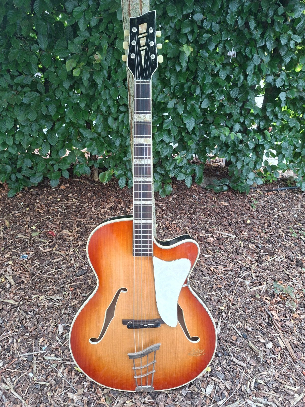 Astro Meistergitarre – West-Duitse archtop - volmassief, Ophalen of Verzenden, Gebruikt, Hollow body, Overige merken