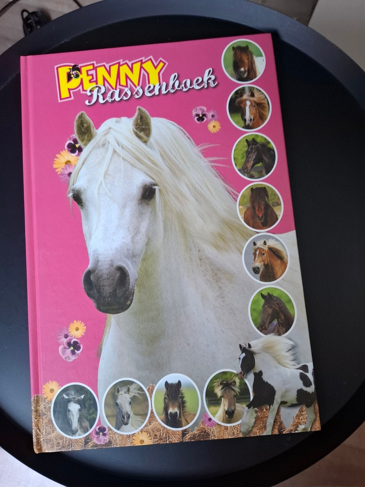 Penny Rassenboek - Boek over paardenrassen, Ophalen of Verzenden, Zo goed als nieuw, Penny Redactie, Non-fictie